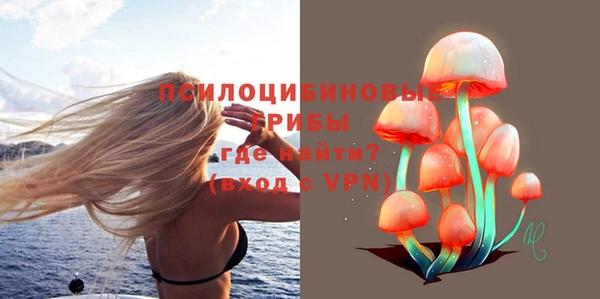 дживик Горно-Алтайск