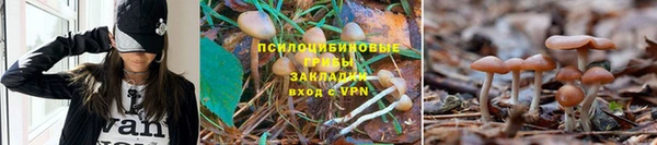 синтетический гашиш Горняк