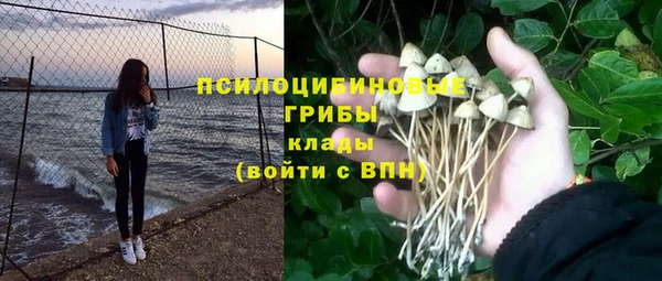 дживик Горно-Алтайск