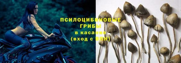 каннабис Горнозаводск