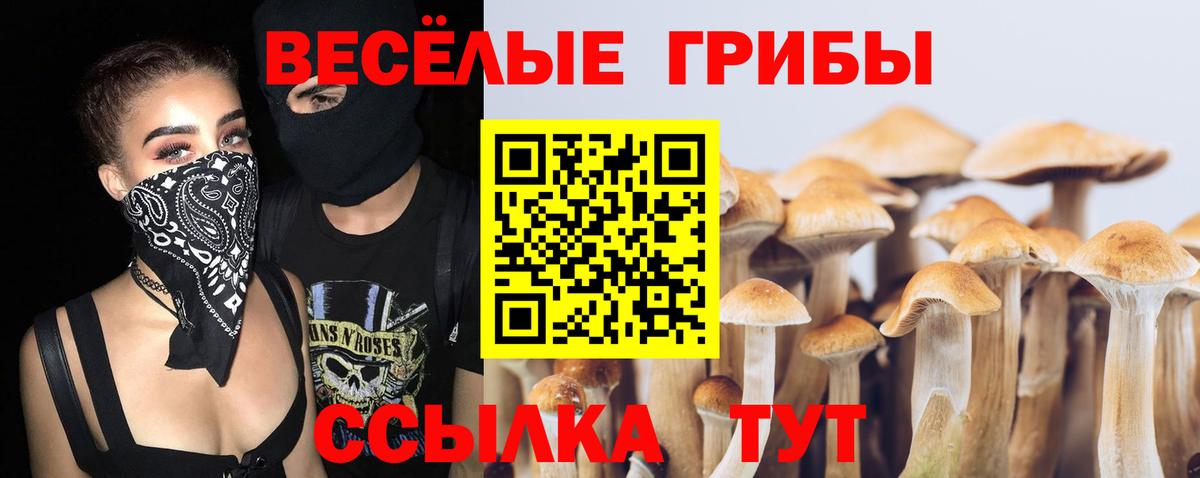 Галлюциногенные грибы Psilocybine cubensis Каменск-Шахтинский